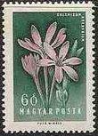 Hungary 1958 Flowers-Stamps-Hungary-StampPhenom