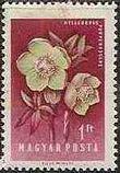 Hungary 1958 Flowers-Stamps-Hungary-StampPhenom