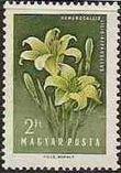 Hungary 1958 Flowers-Stamps-Hungary-StampPhenom