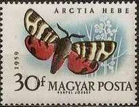 Hungary 1959 Butterflies and Moths-Stamps-Hungary-StampPhenom