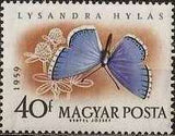 Hungary 1959 Butterflies and Moths-Stamps-Hungary-StampPhenom