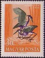 Hungary 1959 Water Birds-Stamps-Hungary-StampPhenom