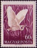 Hungary 1959 Water Birds-Stamps-Hungary-StampPhenom