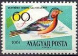 Hungary 1961 Birds - Woods and Fields-Stamps-Hungary-StampPhenom