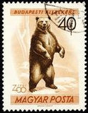 Hungary 1961 Budapest Zoo Animals-Stamps-Hungary-Mint-StampPhenom