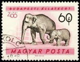 Hungary 1961 Budapest Zoo Animals-Stamps-Hungary-Mint-StampPhenom