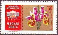 Hungary 1961 International Stamp Exhibition, Budapest (a) 1st issue Background in silver-Stamps-Hungary-StampPhenom