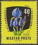 Hungary 1961 Medicinal Plants-Stamps-Hungary-StampPhenom