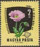 Hungary 1961 Medicinal Plants-Stamps-Hungary-StampPhenom