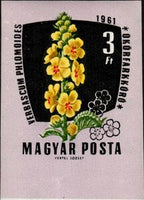 Hungary 1961 Medicinal Plants-Stamps-Hungary-Mint-StampPhenom