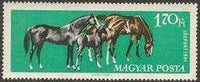 Hungary 1961 Racehorses-Stamps-Hungary-StampPhenom