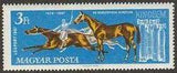 Hungary 1961 Racehorses-Stamps-Hungary-StampPhenom