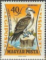 Hungary 1962 Airmails - Birds of Prey-Stamps-Hungary-StampPhenom