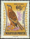 Hungary 1962 Airmails - Birds of Prey-Stamps-Hungary-StampPhenom