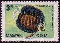 Hungary 1962 Ornamental Fishes-Stamps-Hungary-StampPhenom