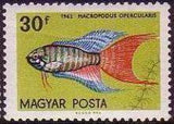 Hungary 1962 Ornamental Fishes-Stamps-Hungary-StampPhenom