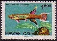 Hungary 1962 Ornamental Fishes-Stamps-Hungary-StampPhenom