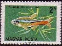 Hungary 1962 Ornamental Fishes-Stamps-Hungary-StampPhenom