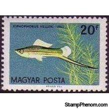 Hungary 1962 Ornamental Fishes