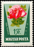 Hungary 1962 Rose Culture, 7 stamps-Stamps-Hungary-StampPhenom