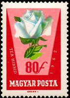 Hungary 1962 Rose Culture, 7 stamps-Stamps-Hungary-StampPhenom