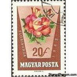 Hungary 1962 Rose Culture