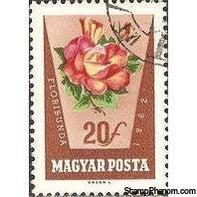 Hungary 1962 Rose Culture