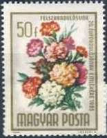 Hungary 1965 Liberation - 20th Anniversary-Stamps-Hungary-StampPhenom