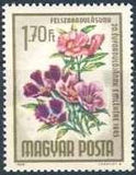 Hungary 1965 Liberation - 20th Anniversary-Stamps-Hungary-StampPhenom