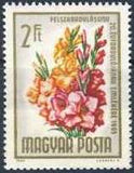 Hungary 1965 Liberation - 20th Anniversary-Stamps-Hungary-StampPhenom