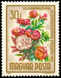 Hungary 1965 Liberation - 20th Anniversary, 9 stamps-Stamps-Hungary-StampPhenom