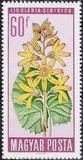 Hungary 1966 Flower Protection-Stamps-Hungary-StampPhenom