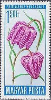 Hungary 1966 Flower Protection-Stamps-Hungary-StampPhenom