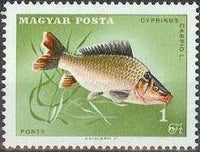 Hungary 1967 Angling-Stamps-Hungary-StampPhenom