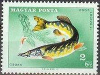 Hungary 1967 Angling-Stamps-Hungary-StampPhenom