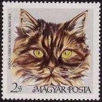 Hungary 1968 Cats-Stamps-Hungary-StampPhenom