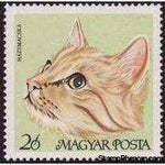 Hungary 1968 Cats