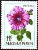 Hungary 1968 Garden Flowers-Stamps-Hungary-StampPhenom