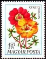 Hungary 1968 Garden Flowers-Stamps-Hungary-StampPhenom