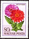 Hungary 1968 Garden Flowers-Stamps-Hungary-StampPhenom