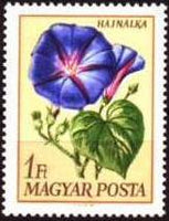 Hungary 1968 Garden Flowers-Stamps-Hungary-StampPhenom