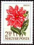 Hungary 1968 Garden Flowers-Stamps-Hungary-StampPhenom