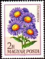 Hungary 1968 Garden Flowers-Stamps-Hungary-StampPhenom