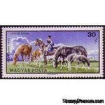 Hungary 1968 Horse Breeding on the Hortobagy Puszta