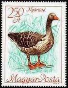 Hungary 1968 International Council for Bird Preservation Congress-Stamps-Hungary-StampPhenom