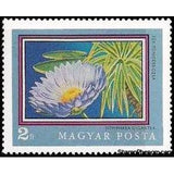 Hungary 1971 Blue Waterlily (Nymphaea gigantea)-Stamps-Hungary-Mint-StampPhenom