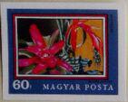 Hungary 1971 Bromeliad (Bromeliaceae)-Stamps-Hungary-Mint-StampPhenom