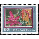 Hungary 1971 Bromeliad (Bromeliaceae)-Stamps-Hungary-Mint-StampPhenom