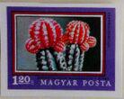 Hungary 1971 Chin Cactus (Gymnocalycium Mihanovichii f. rubra)-Stamps-Hungary-Mint-StampPhenom