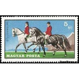 Hungary 1971 Dressage, Horse (Equus ferus caballus)-Stamps-Hungary-Mint-StampPhenom